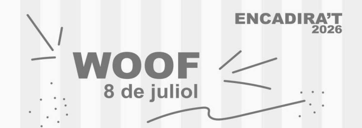 Espectacle 427-programacio